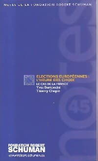 Elections européennes : l'heure des choix - Thierry Chopin