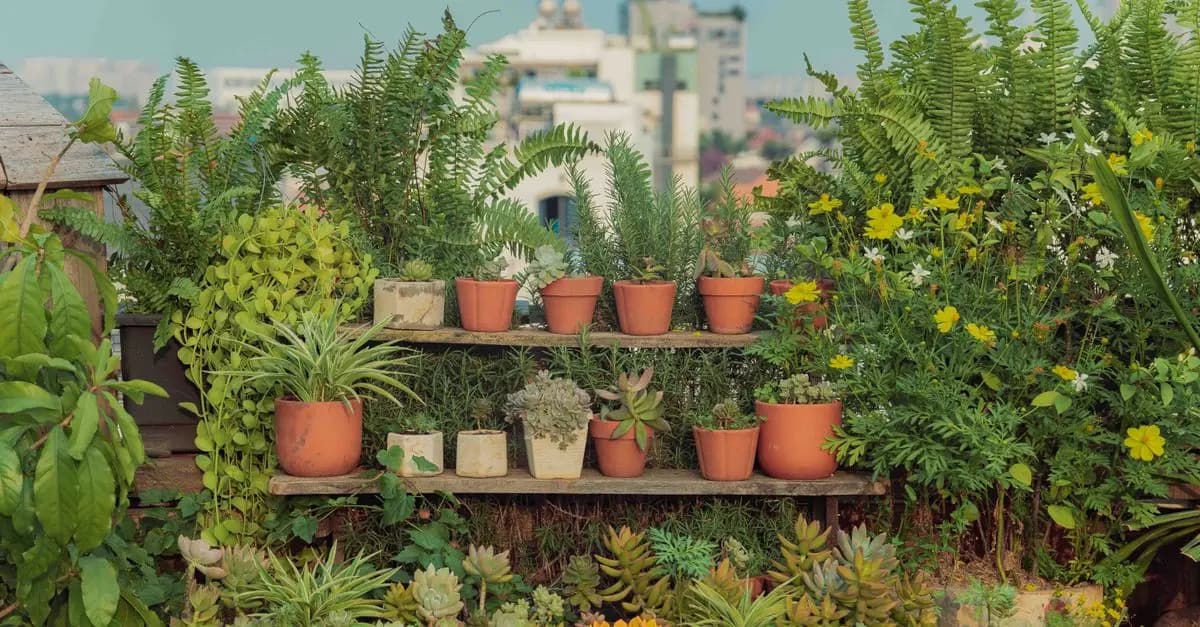 Découverte des plus belles villes du monde à travers leurs jardins