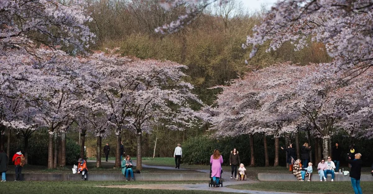 Les jardins les plus enchanteurs des belles villes du monde
