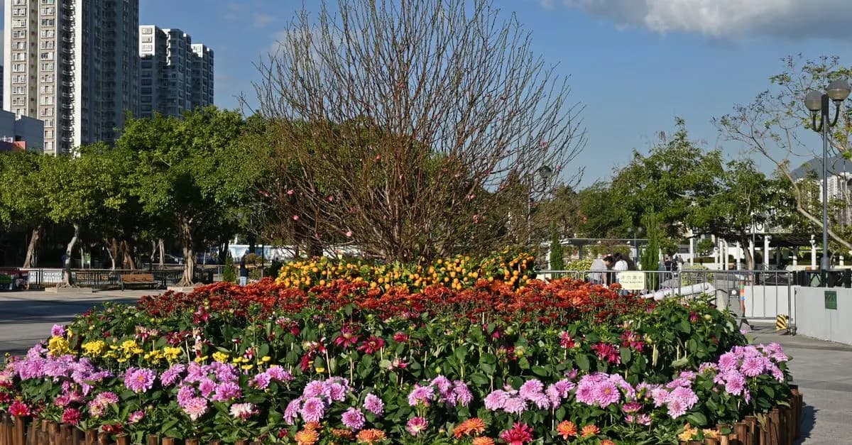 Top 7 des jardins urbains relaxants à visiter à Berlin