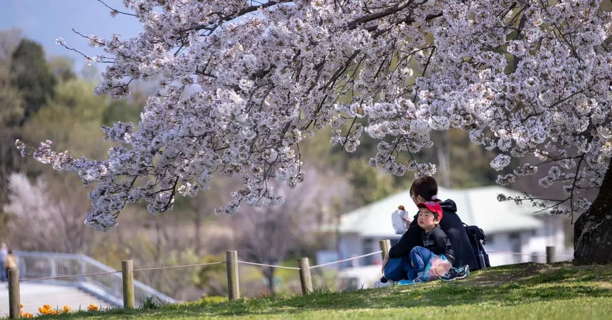 Top 10 des plus belles villes à visiter au printemps