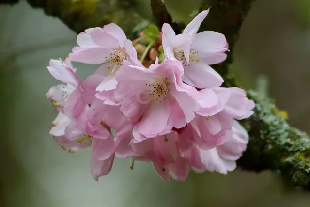 Les plus belles villes à découvrir au printemps