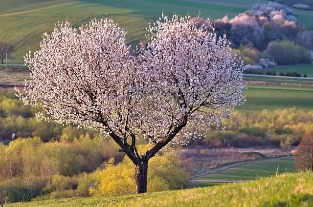 Les merveilles cachées des plus belles villes du monde