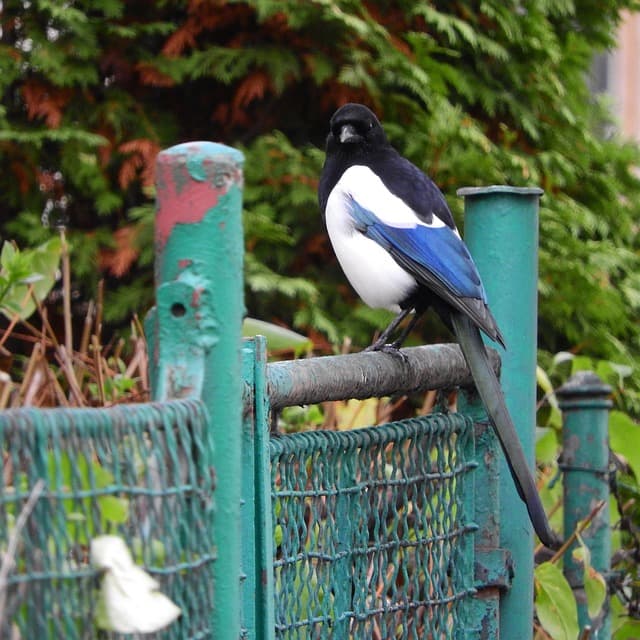 10 joyaux cachés à découvrir dans les plus belles villes du monde