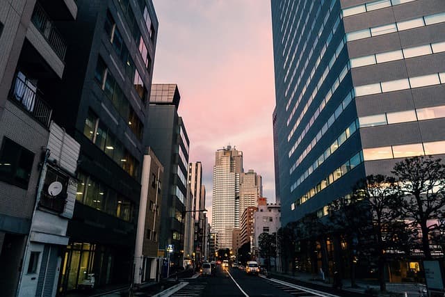 Les plus belles avenues à découvrir dans les grandes villes